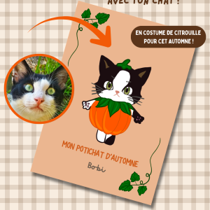Votre chat en citrouille – Illustration personnalisée d'un chat déguisé en citrouille dans une ambiance automnale