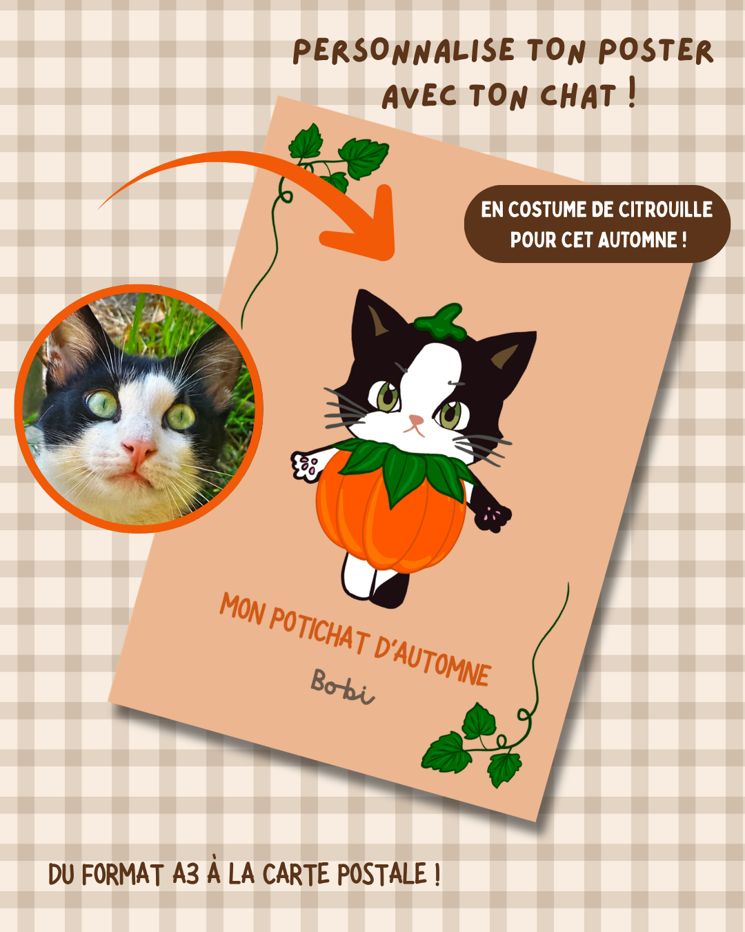 Votre chat en citrouille – Illustration personnalisée d'un chat déguisé en citrouille dans une ambiance automnale