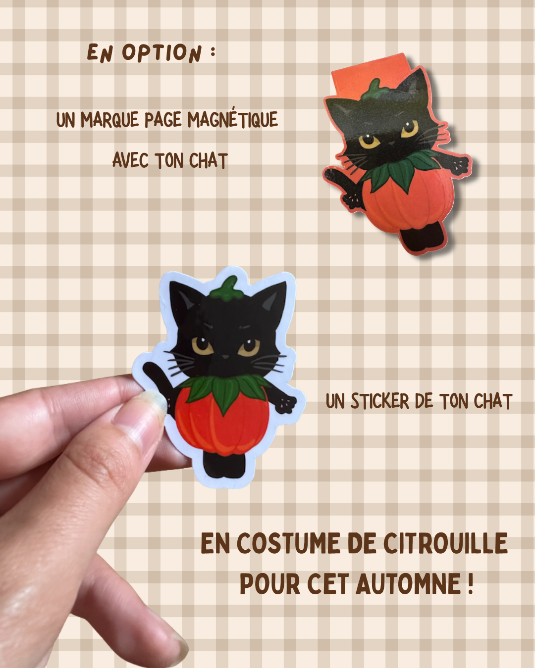 Votre chat en citrouille – Illustration personnalisée d'un chat déguisé en citrouille dans une ambiance automnale