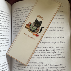 Marque-page recto-verso "Sorry I Am Booked ! / New Chapter In Progress" : recto chat noir kawaii à lunettes sous un plaid citrouille avec bougie Pumpkin Spice, verso pile de livres automnaux et barre de chargement "Loading...", bordure vichy miel fond crème, posés sur un livre ouvert
