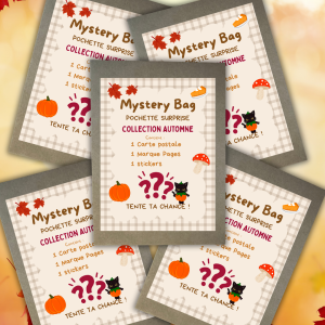 Mystery Bag "Collection Automne" : pochette surprise avec carte postale, marque-page et sticker, motifs citrouille et champignon sur fond vichy beige, feuilles d'automne autour